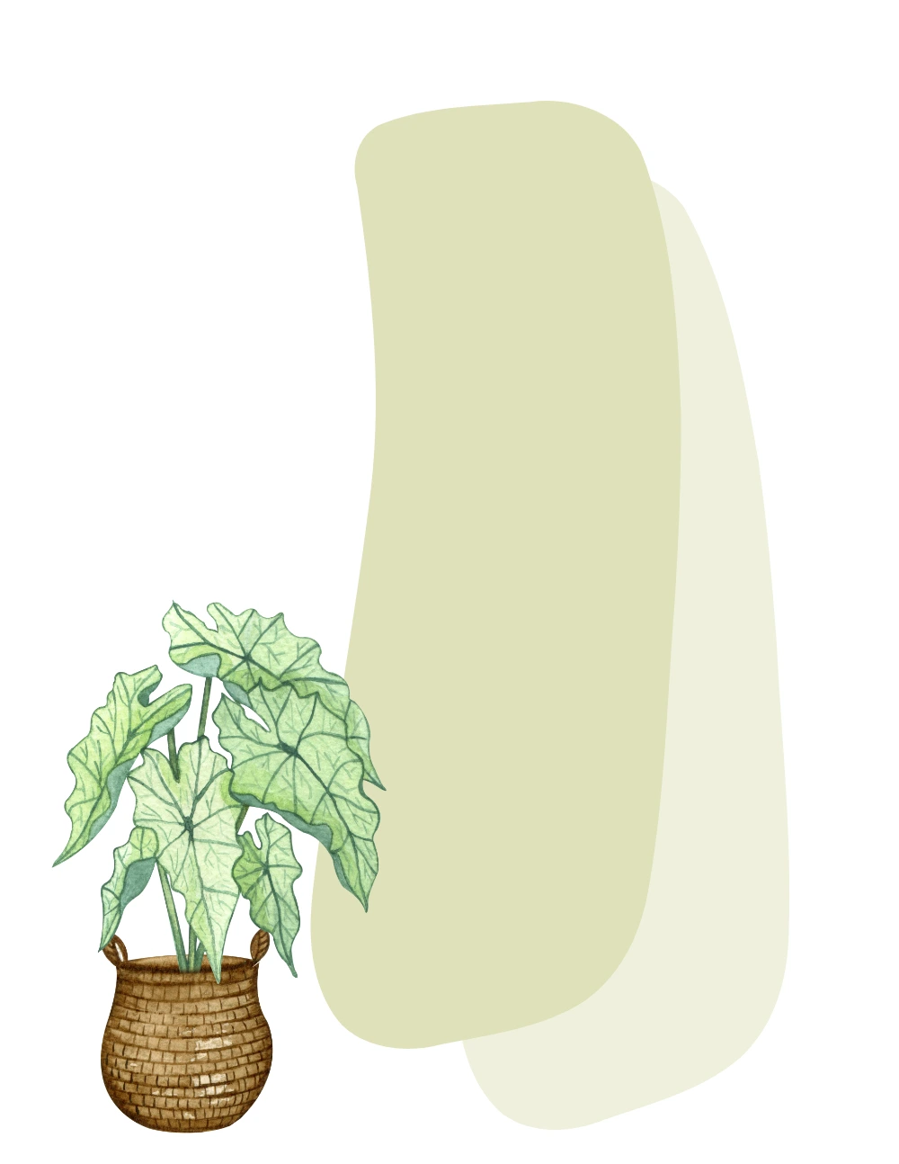 Plants No. 7 note pad